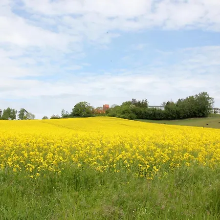 Ruhige Lage, Im Baederstil Mit Veranda - Moewe 06 Apartment Goehren (Ruegen)