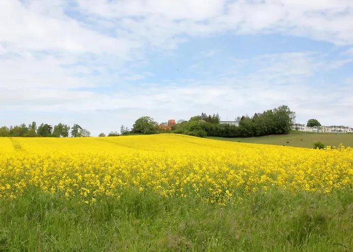 Moewe 06 דירה גוהרן